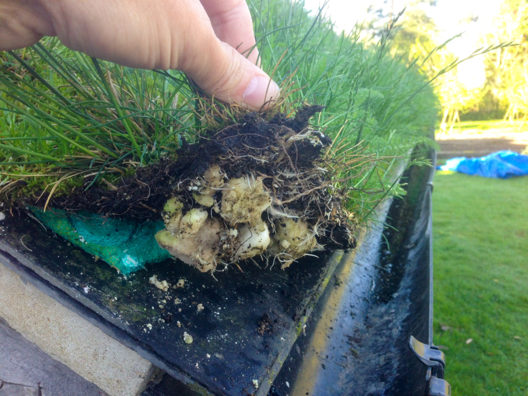 Small-2014-04-09 08.46.18 Onderzoek & Ontwikkeling naar Agrarische Applicaties