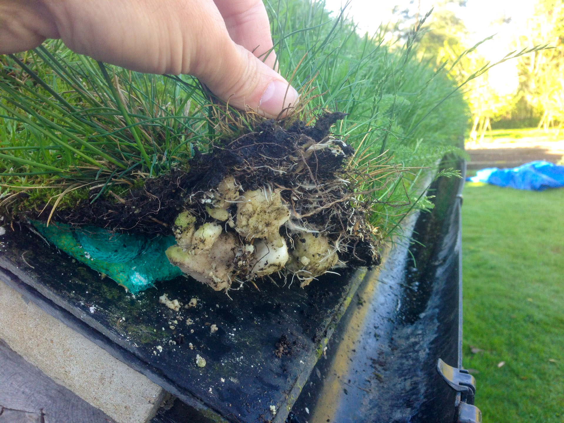 Onderzoek & Ontwikkeling naar Agrarische Applicaties