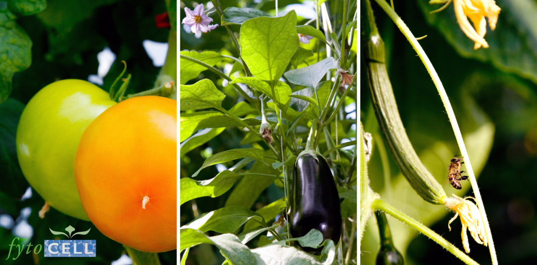 Small-drieluik_metlogo2 Resins Agro