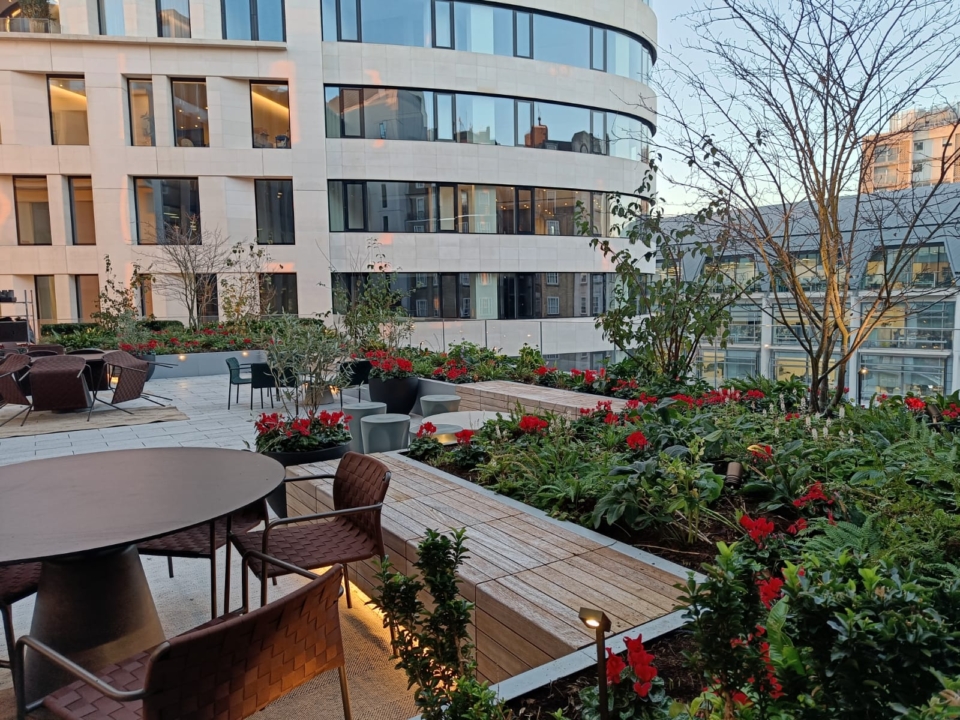 P & P - Commercial Roof Garden