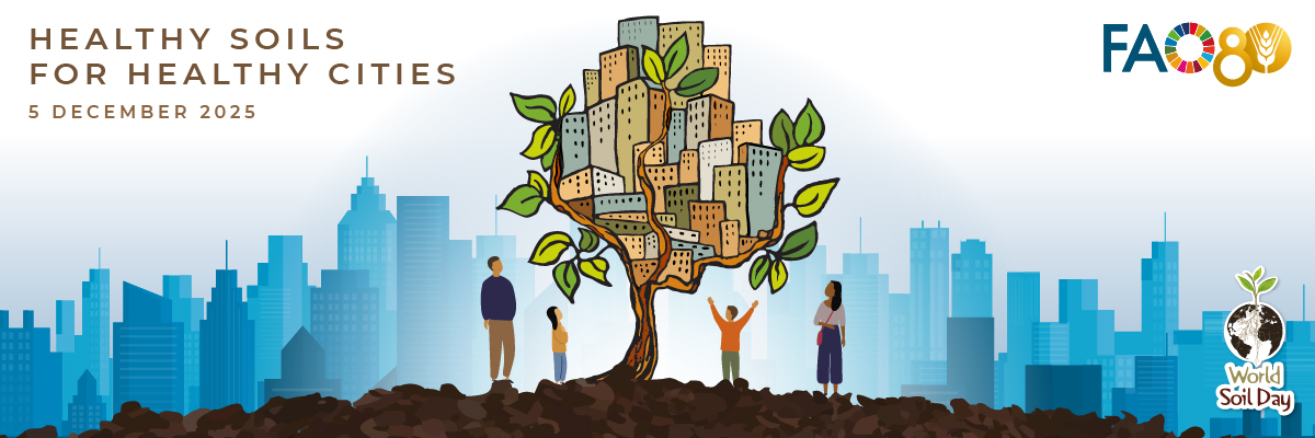 World Soil Day FAO World Soil Day FAO